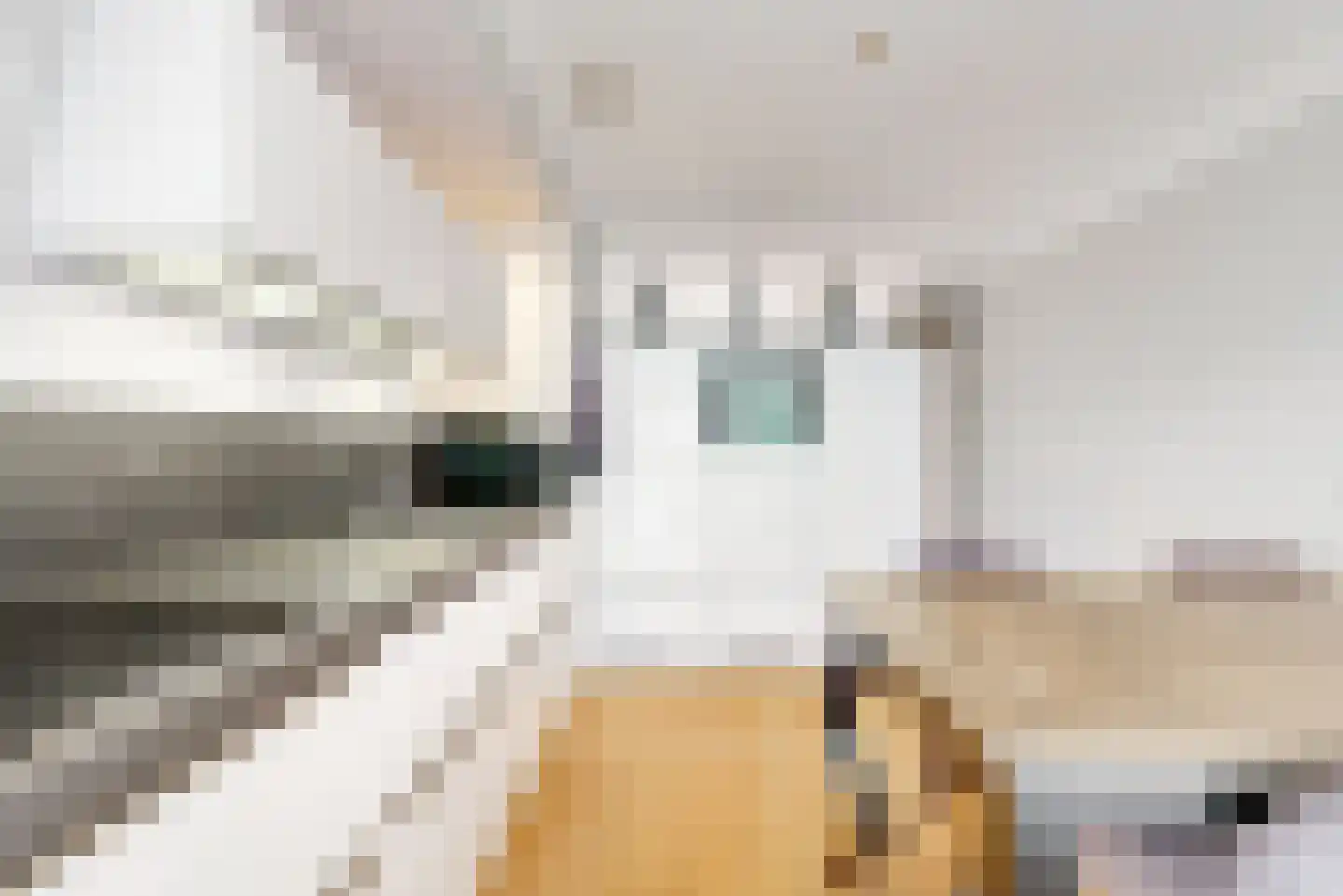 Bisonstraat 23 Purmerend thumbnail 10