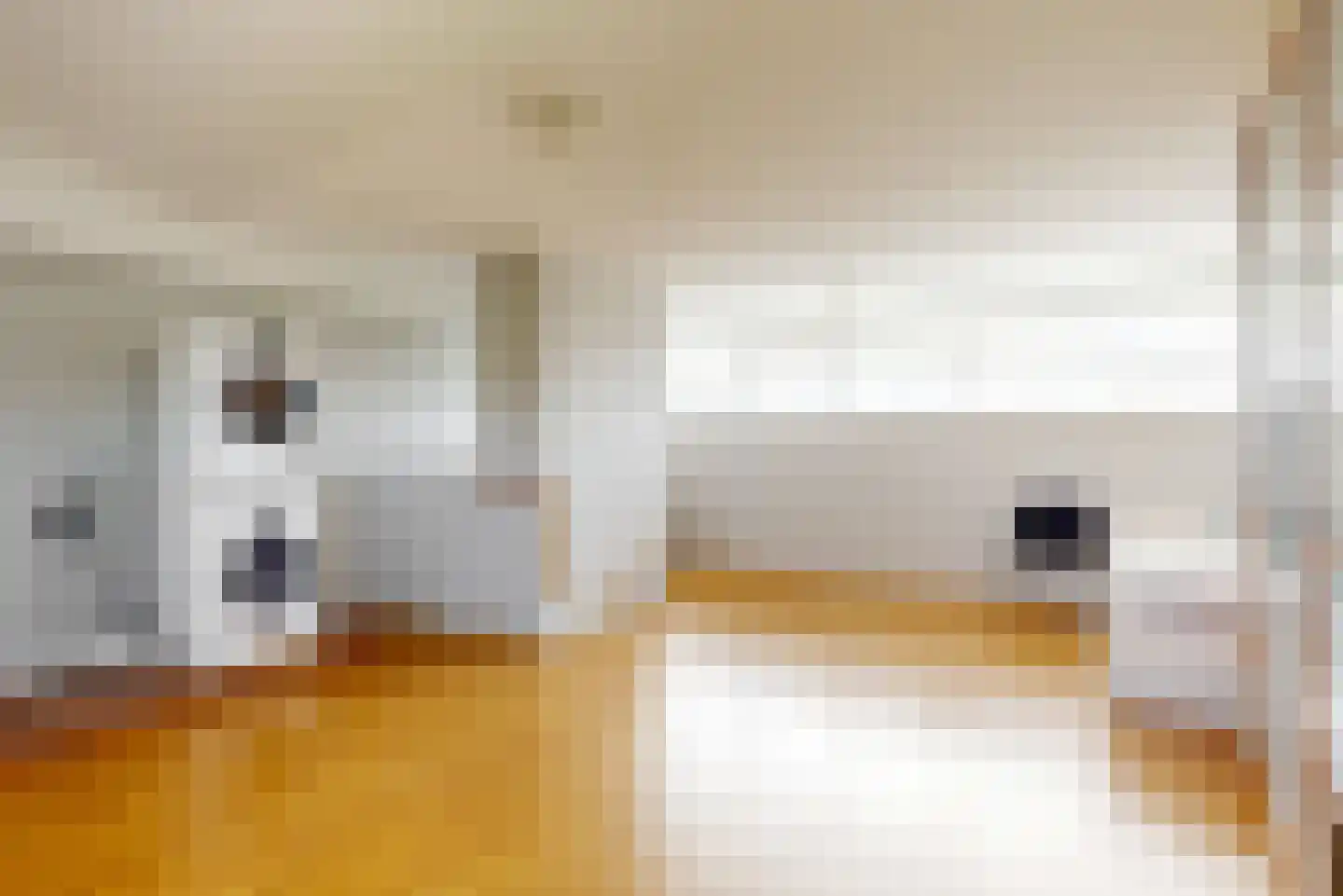 Bisonstraat 23 Purmerend thumbnail 24