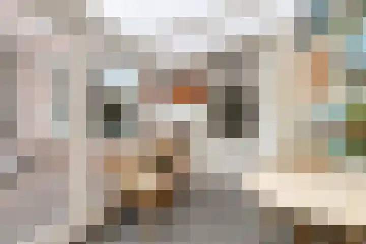 Bisonstraat 32 Gemert thumbnail 11