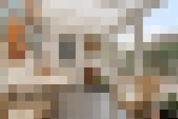 Bisonstraat 32 Gemert thumbnail 12