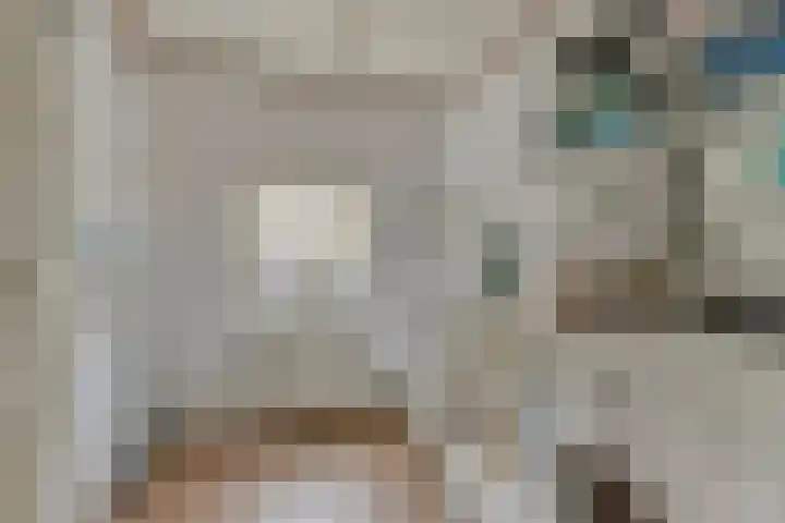 Bisonstraat 32 Gemert thumbnail 17