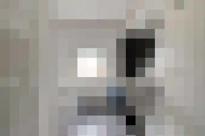 Bisonstraat 32 Gemert thumbnail 18