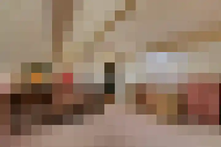 Bisonstraat 32 Gemert thumbnail 23