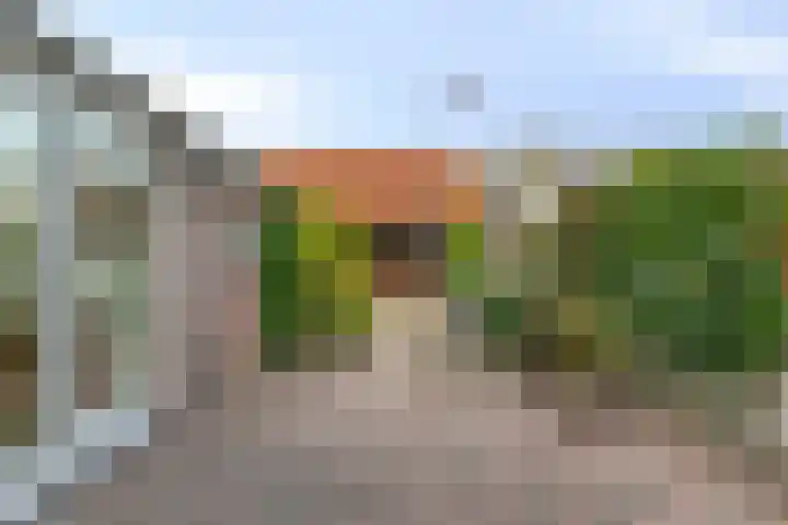 Bisonstraat 32 Gemert thumbnail 24