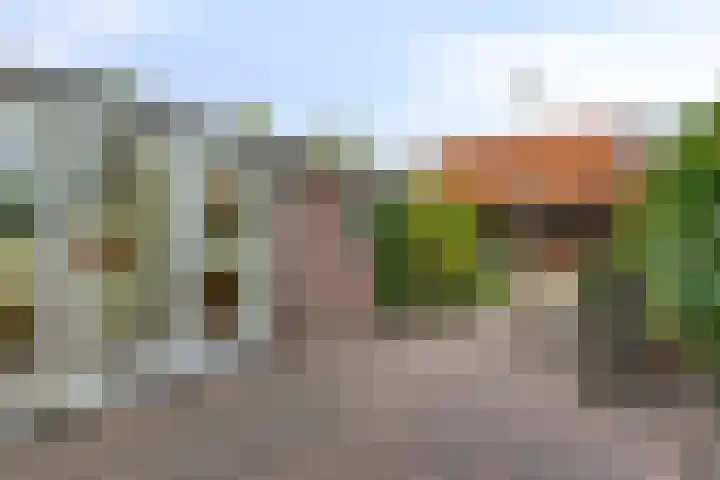Bisonstraat 32 Gemert thumbnail 25