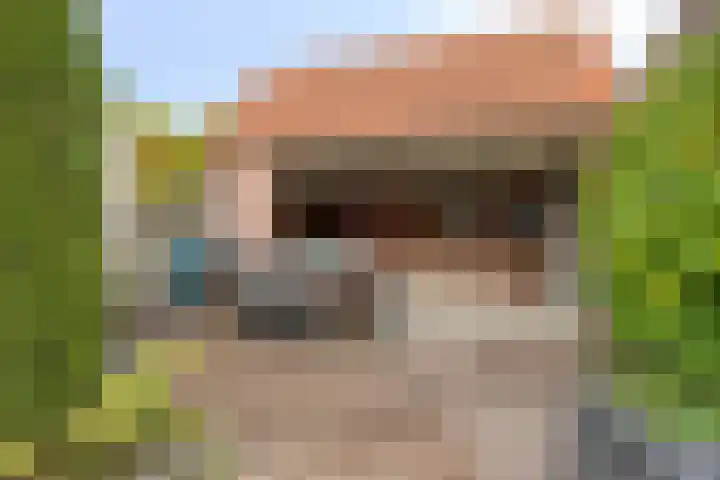 Bisonstraat 32 Gemert thumbnail 27