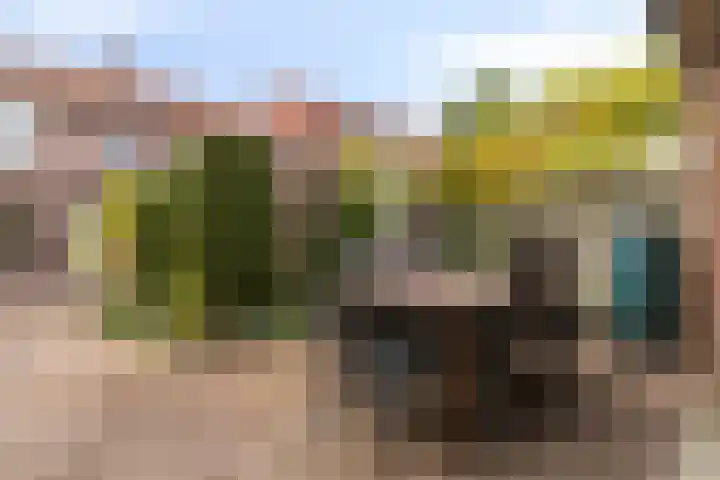 Bisonstraat 32 Gemert thumbnail 29