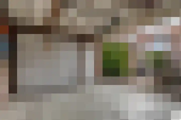 Bisonstraat 32 Gemert thumbnail 30