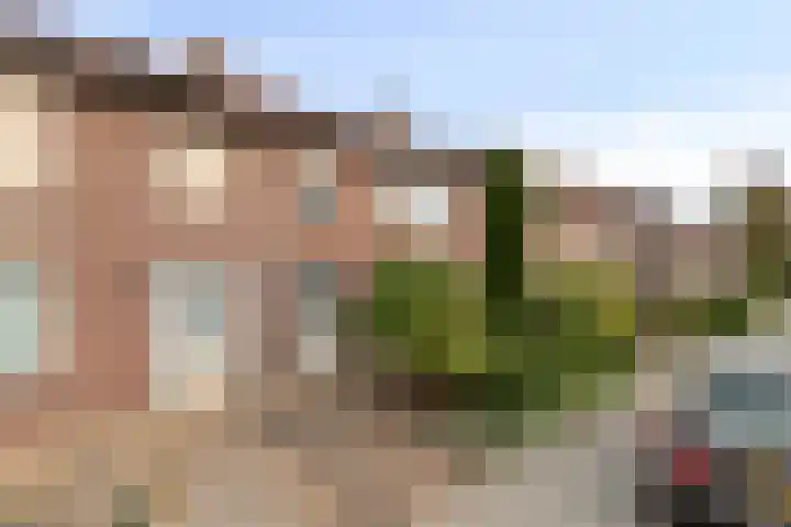 Bisonstraat 32 Gemert thumbnail 31