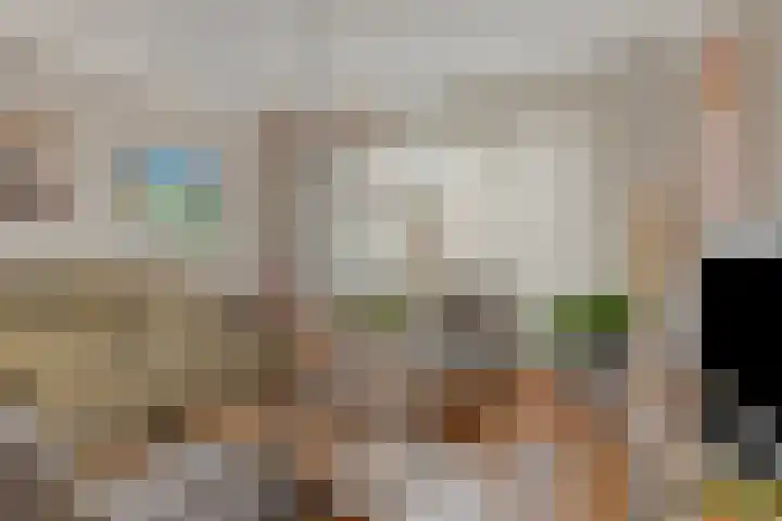 Bisonstraat 32 Gemert thumbnail 4