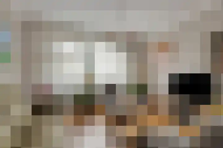 Bisonstraat 32 Gemert thumbnail 5