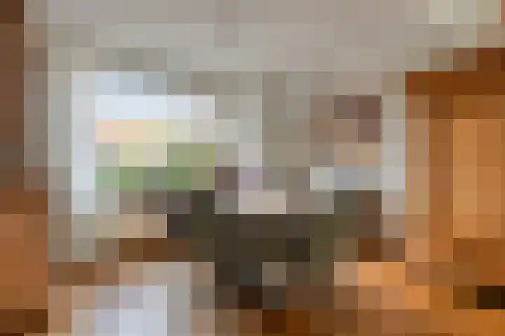Bisonstraat 32 Gemert thumbnail 6