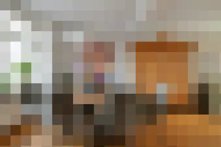 Bisonstraat 32 Gemert thumbnail 7