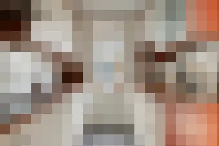 Bisonstraat 32 Gemert thumbnail 8