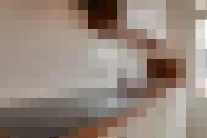 Bisonstraat 32 Gemert thumbnail 9