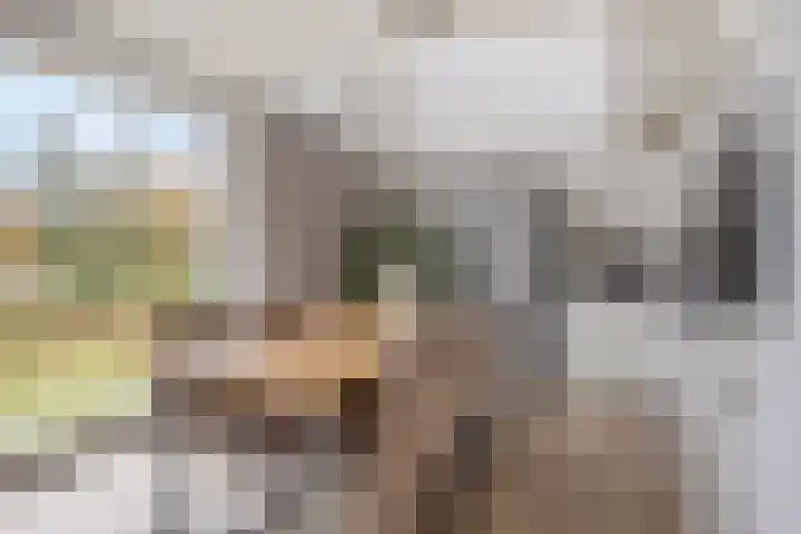 Bisonstraat 32 Purmerend thumbnail 11
