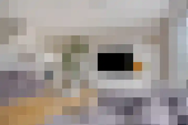 Bisonstraat 32 Purmerend thumbnail 16
