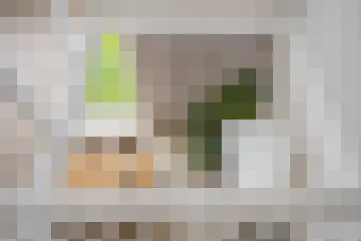 Bisonstraat 32 Purmerend thumbnail 20