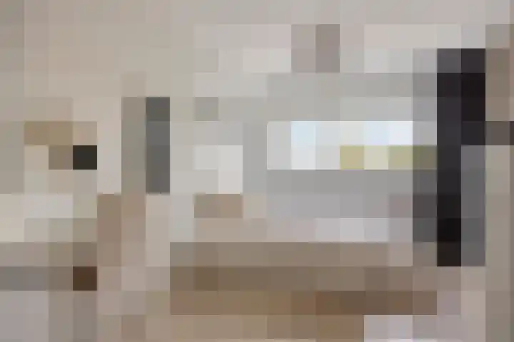 Bisonstraat 32 Purmerend thumbnail 25