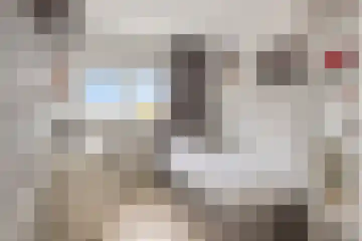 Bisonstraat 32 Purmerend thumbnail 28