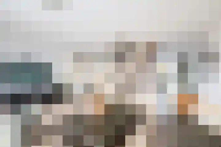 Bisonstraat 44 Purmerend thumbnail 24