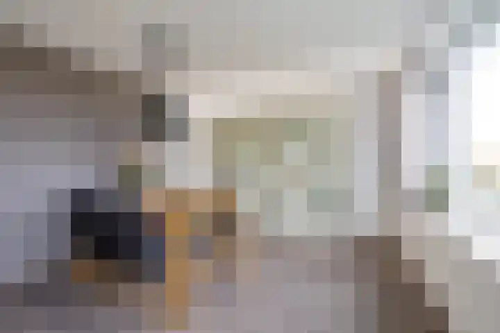 Bisonstraat 44 Purmerend thumbnail 29