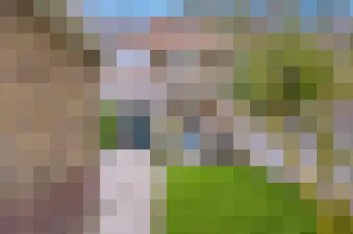 Bisonstraat 6 Bussum thumbnail 16