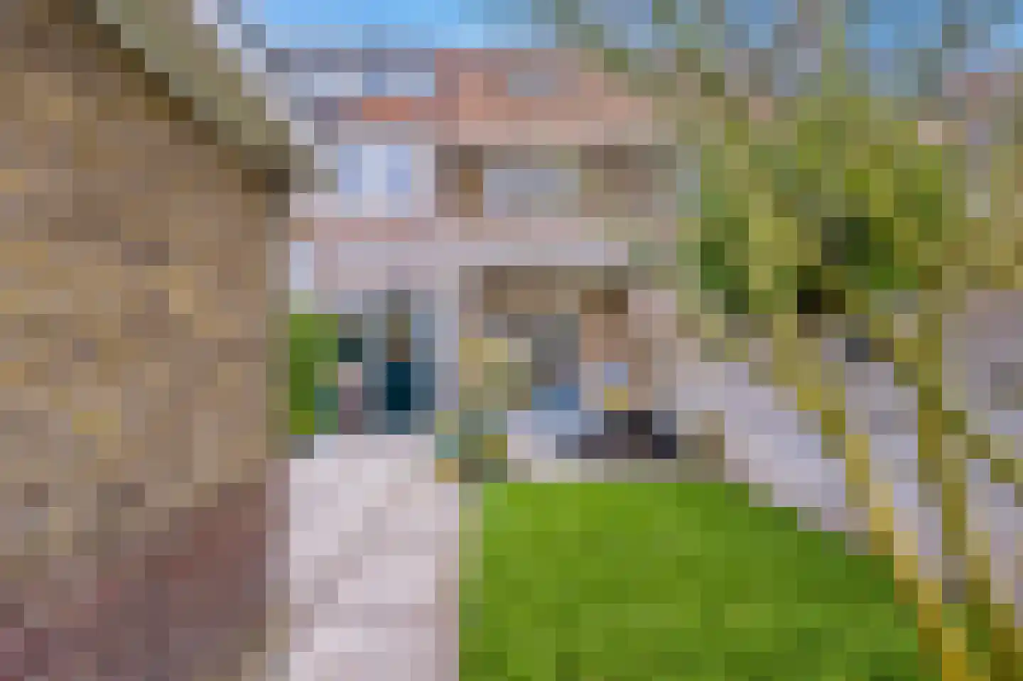 Bisonstraat 6 Bussum thumbnail 16