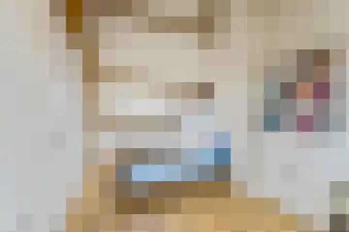 Bisonstraat 6 Bussum thumbnail 37