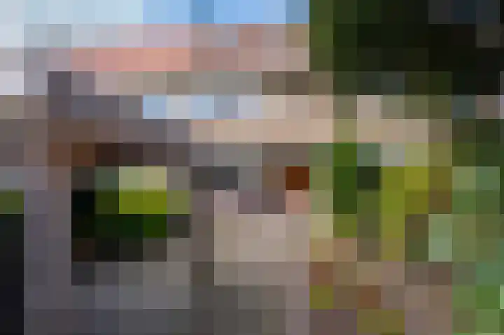 Bisonstraat 6 Bussum thumbnail 40