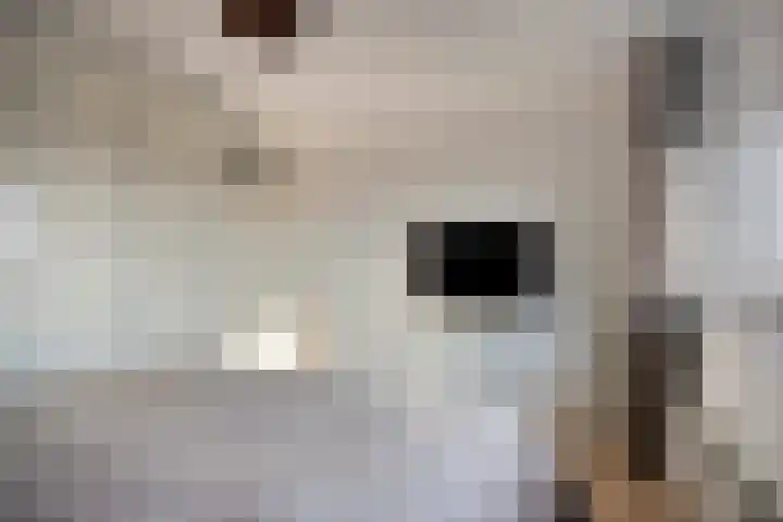 Bisonstraat 74 Purmerend thumbnail 26