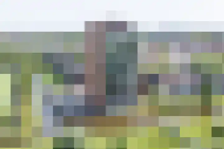 Bisonstraat 82 Purmerend thumbnail 10