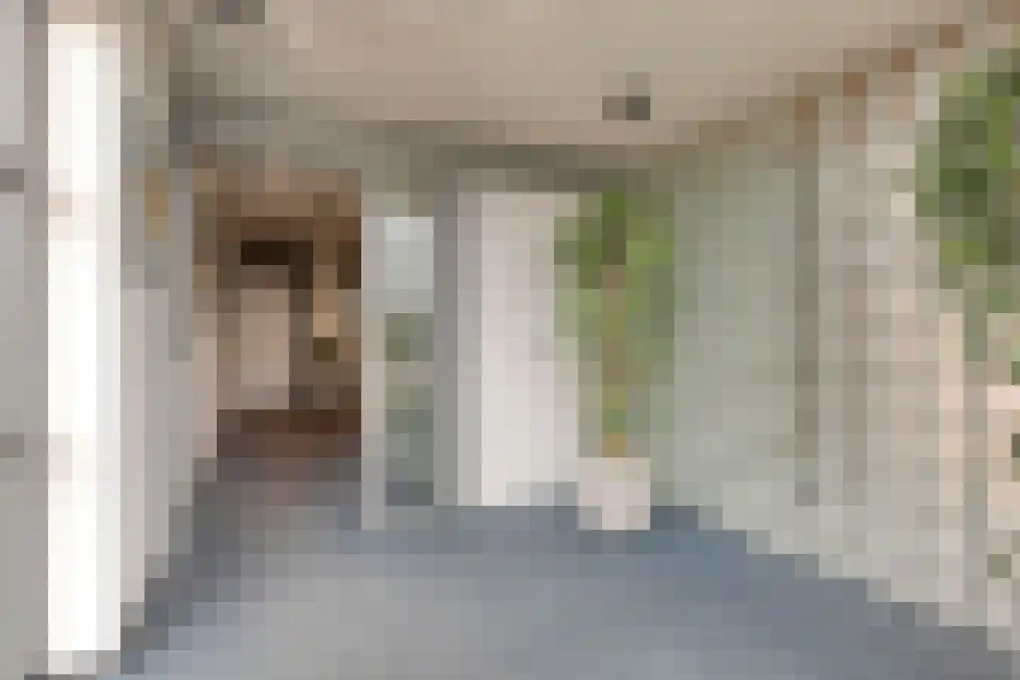 Bisonstraat 88 Purmerend thumbnail 32