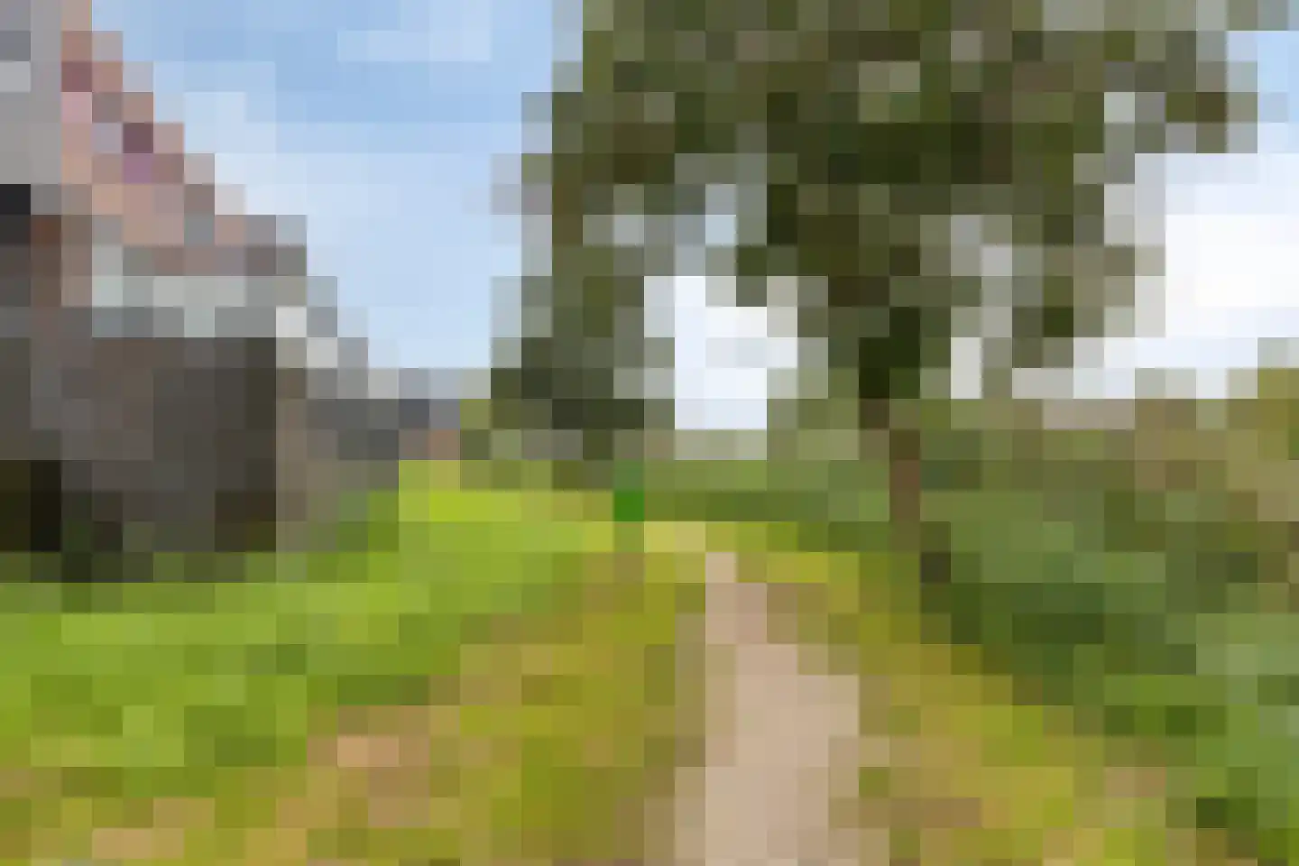 Bisonstraat 88 Purmerend thumbnail 38