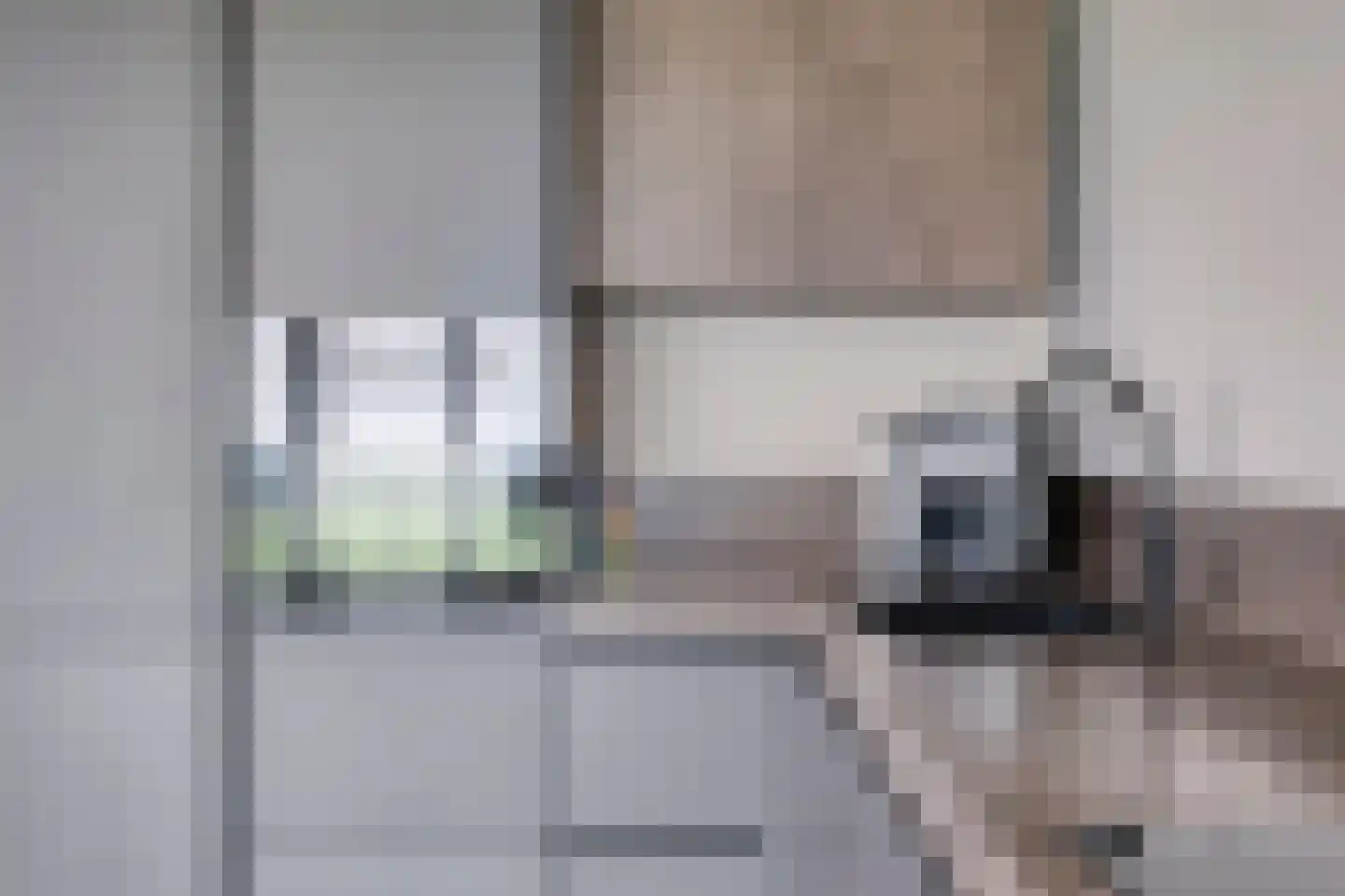 Bisonstraat 88 Purmerend thumbnail 8