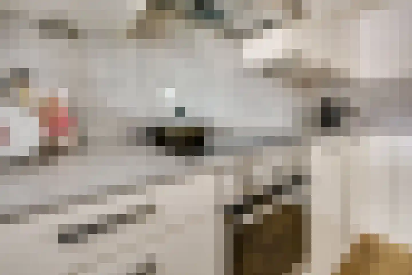 Bisonweide 1 Nieuwegein thumbnail 12