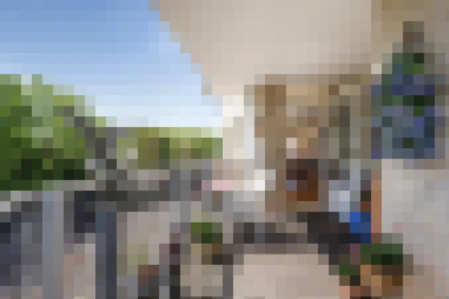 Bispinckpark 35 Bloemendaal thumbnail 8