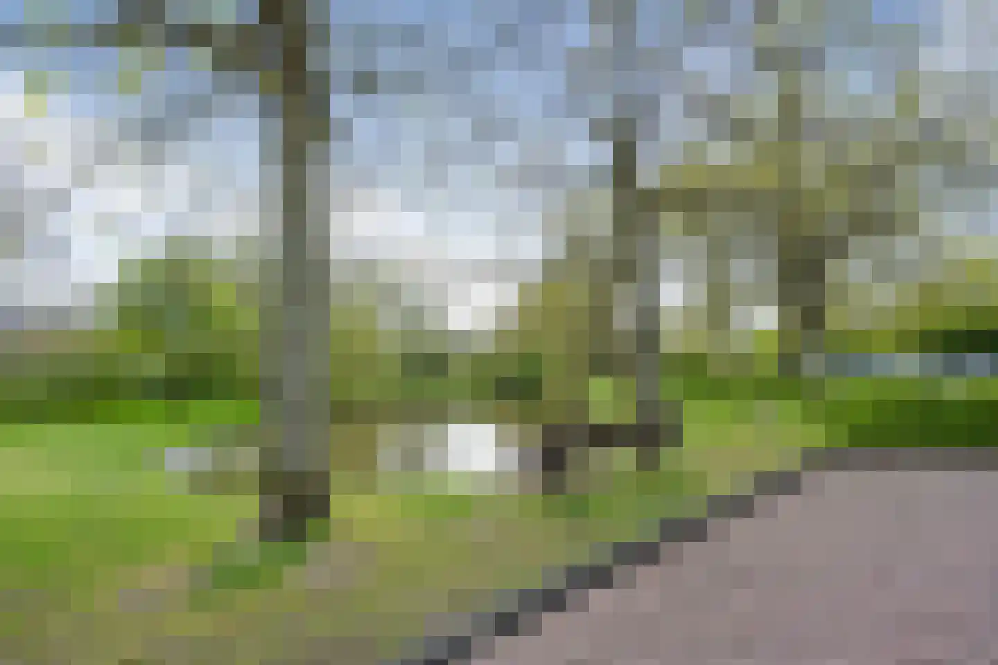 Bispinckpark 39 Bloemendaal thumbnail 29