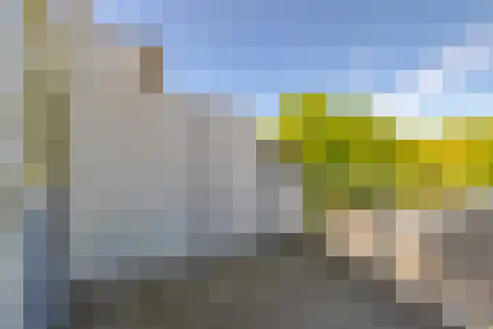 Bispinckpark 41 Bloemendaal thumbnail 11