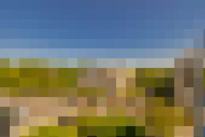 Bispinckpark 41 Bloemendaal thumbnail 13