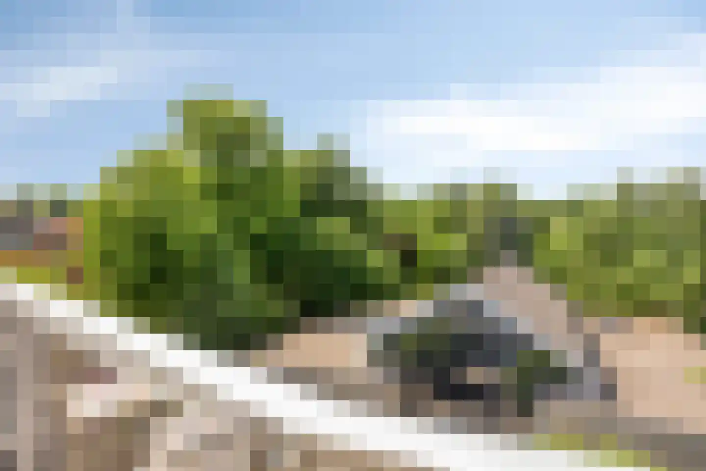 Bispinckpark 41 Bloemendaal thumbnail 21