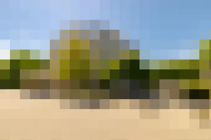 Bispinckpark 41 Bloemendaal thumbnail 32