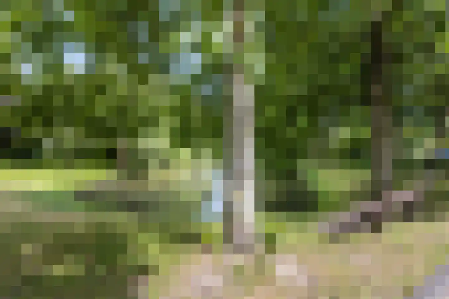 Bispinckpark 41 Bloemendaal thumbnail 33