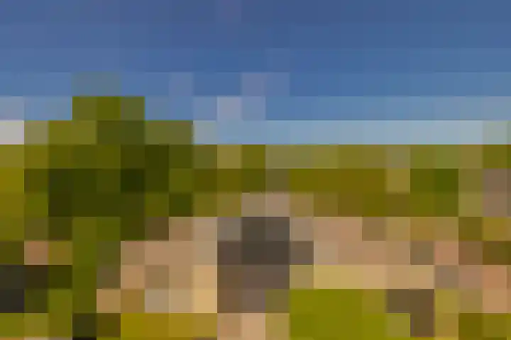Bispinckpark 41 Bloemendaal thumbnail 4