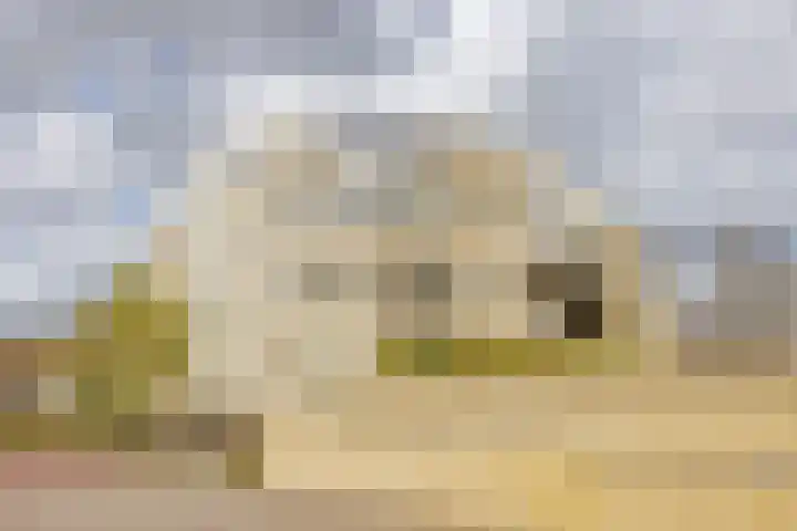 Bispinckpark 7 Bloemendaal thumbnail 30