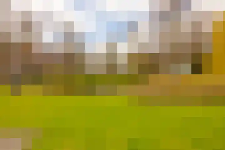 Bispinckpark 7 Bloemendaal thumbnail 33