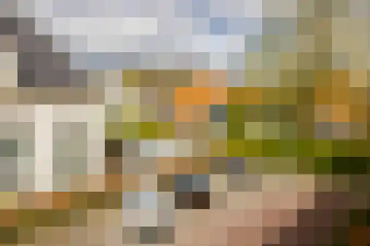 Bispinckpark 7 Bloemendaal thumbnail 9