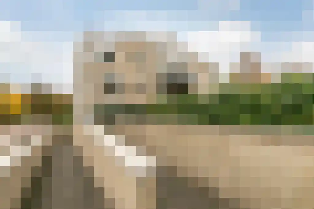 Bispinckpark 8 Bloemendaal thumbnail 26