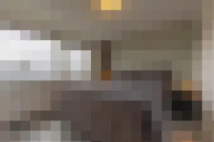 Biss Philip Roveniusstraat 5 Groenlo thumbnail 15