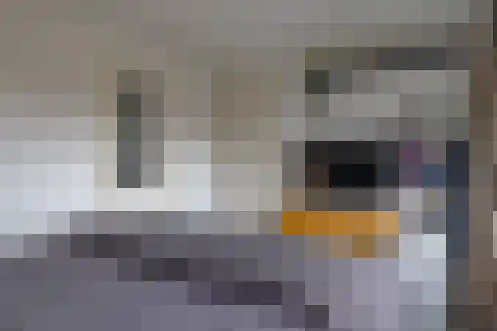 Biss Philip Roveniusstraat 5 Groenlo thumbnail 16